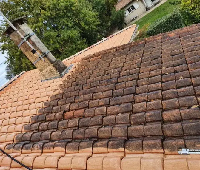 peinture des charentes